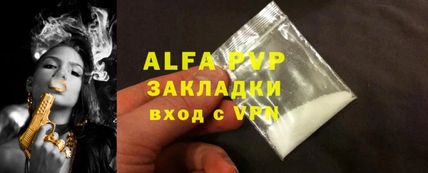 гидра Снежногорск