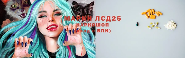 гидра Снежногорск