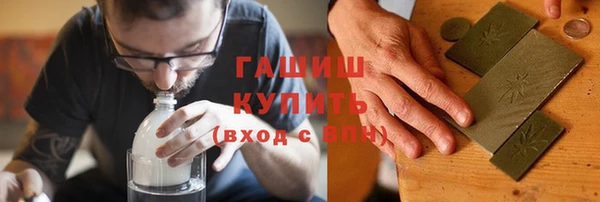гидра Снежногорск