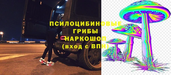 тгк Слюдянка
