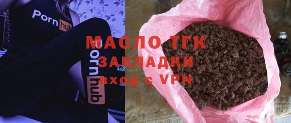 гидра Снежногорск