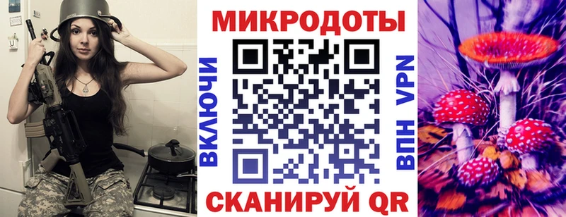 Галлюциногенные грибы Cubensis  Сланцы 