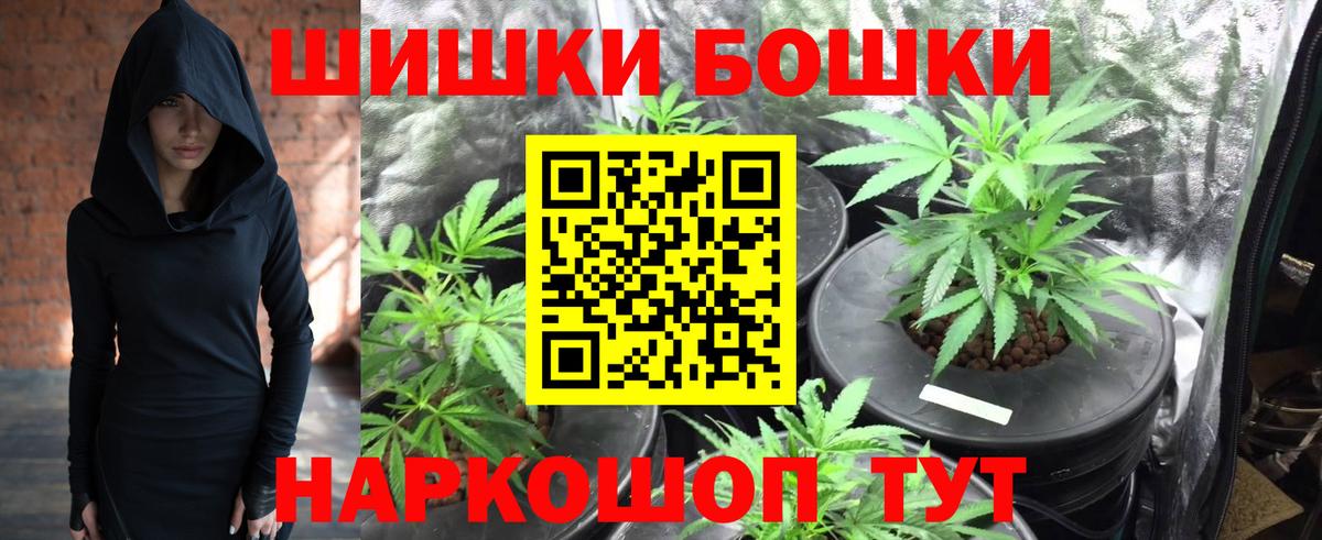 Марихуана планчик Сланцы